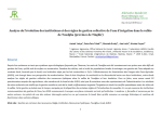Analyse de lévolution des institutions et des règles de gestion collective de leau dirrigation dans la vallée de Toudgha (province de Tinghir)