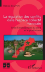 La régulation des conflits dans l'espace collectif marocain