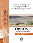 Economics of drought and drought preparedness in a climate change context