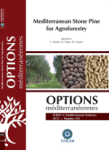 Mediterranean stone pine for agroforestry