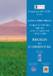 Programme ART GOLD Maroc : lignes directrices en appui à la stratégie régionale pour la Coopération Internationale : région de lOriental