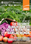 Réorienter les politiques alimentaires et agricoles pour rendre lalimentation saine plus abordable. L'état de la sécurité alimentaire dans le monde 2022