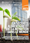 Urbanisation, transformation des systèmes agroalimentaires et accès à une alimentation saine le long du continuum rural-urbain. L'état de la sécurité alimentaire dans le monde 2023