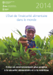 Créer un environnement plus propice à la sécurité alimentaire et à la nutrition. L'état de l'insécurité alimentaire dans le monde 2014