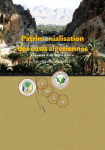 Patrimonialisation des oasis algériennes