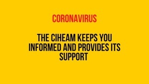 Information COVID-19