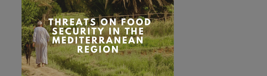 Pandémie du COVID-19