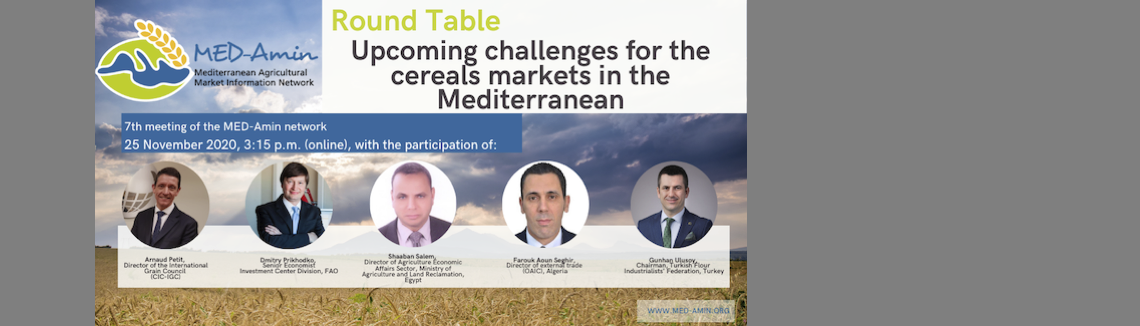 The MED-Amin network has given voice to experts! 