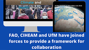 FAO-CIHEAM-UfMs collaborative actions!