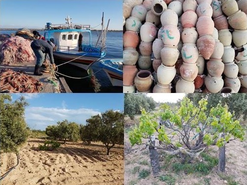 Implementation of a participative and inclusive approach to support the maritime, agricultural and rural economy of the Kerkennah islands based on a sustainable mobilisation of the local resources