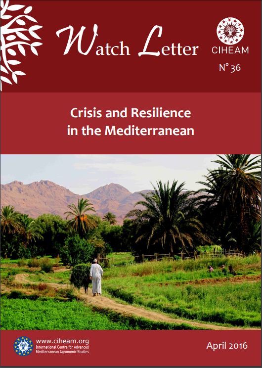 Crisis and Resilience in the Mediterranean