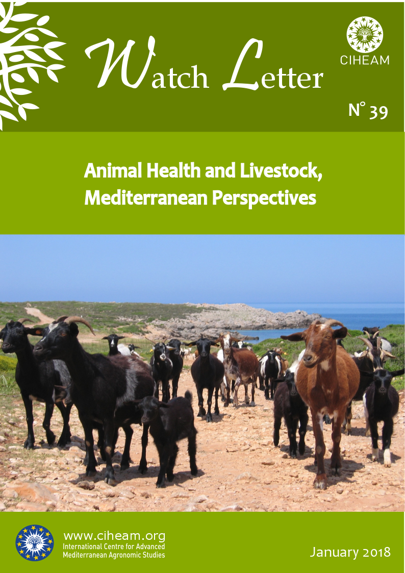 Animal Health and Livestock, Mediterranean Perspectives