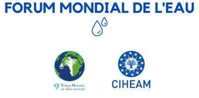 Une délégation du CIHEAM au Forum Mondial de l’Eau