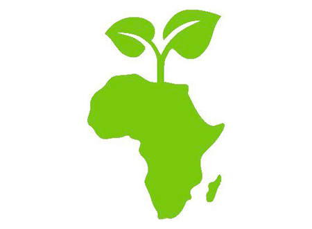 Healthy Food Africa