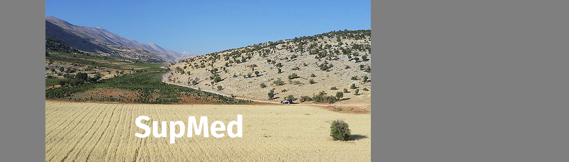 SupMed project: Meeting of the Steering Committee, Beirut, March 28-29th
