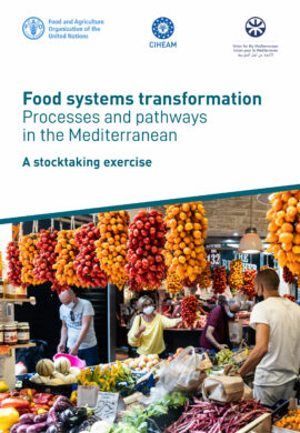 Food systems transformation – Processes and pathways in the Mediterranean: A stocktaking exercise