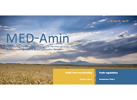 MED-Amin : Newsletter #41