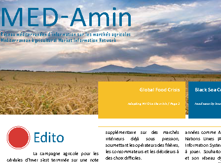 MED-Amin : Newsletter #42