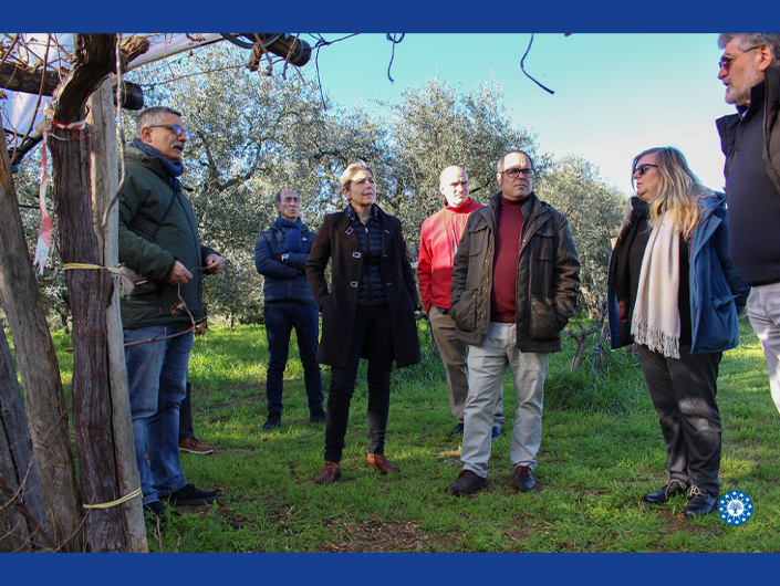 PREMIÈRE RÉUNION DU GROUPE DE TRAVAIL DU CIHEAM SUR LA GESTION DES FORÊTS MÉDITERRANÉENNES