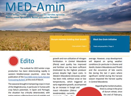 MED-Amin Newsletter #46