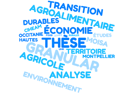 OFFRE DE THESE : Économie agricole et agroalimentaire.
