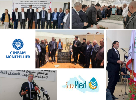 Projet SupMed au Liban