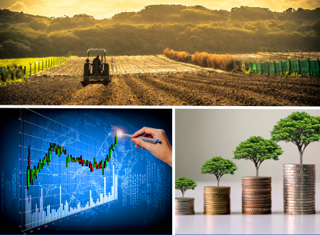 Sensibilisation au concept et aux avantages des chaînes de valeur agroalimentaires
