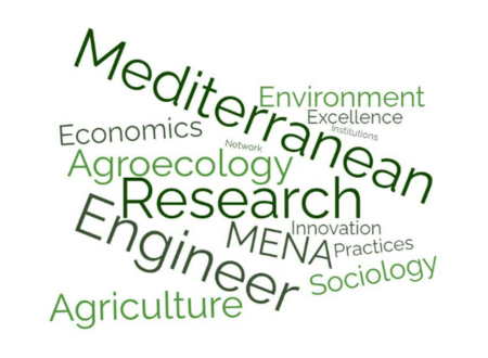 VACANCY ANNOUNCEMENT: Recruitment of a Research Engineer in Agricultural Economics / NATAE and EXCEL4MED projects