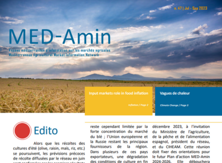 Découvrez la nouvelle Newsletter de MED-Amin #47