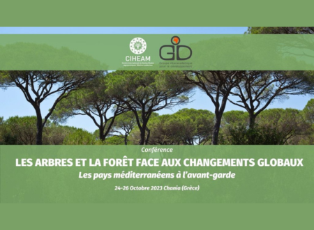 LES ARBRES ET LA FORÊT FACE AUX CHANGEMENTS GLOBAUX : LES PAYS MÉDITERRANÉENS À L’AVANT-GARDE
