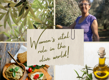 WORLD OLIVE DAY 2023