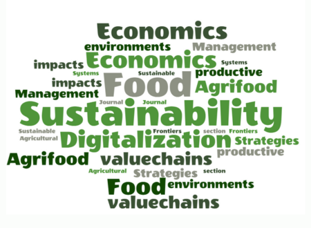 “Call for Paper : Stratégies de numérisation et de durabilité dans les chaînes de valeur agroalimentaires”