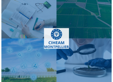 Inscriptions ouvertes CIHEAM Montpellier 2024/2025