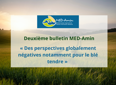Découvrez le deuxième bulletin de MED-Amin : Perspectives de récolte des cultures d’hiver au 10 mai 2024