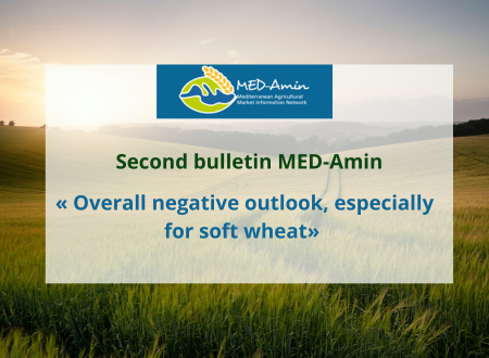 Have a look at MED-Amin’s second bulletin: Winter crops outlook at 10 May 2024