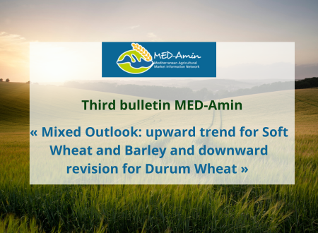 Have a look at MED-Amin’s third bulletin: Winter crops outlook at 10 June 2024