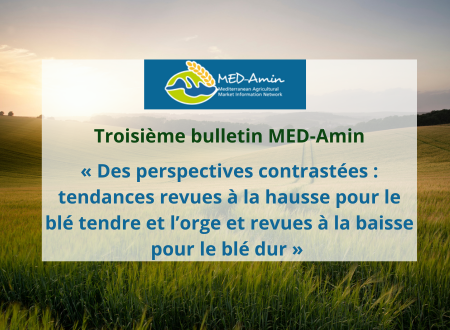 Découvrez le troisième bulletin de MED-Amin : | Perspectives de récolte des cultures d’hiver au 10 juin 2024