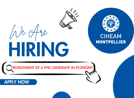 VACANCY ANNOUNCEMENT : Recruitment of a PhD candidate in Economy