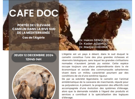 Invitation du CIHEAM Montpellier : Café Doc du Jeudi 12 décembre 2024 à 12h45 – PORTÉE DE L’ÉLEVAGE CAMELIN DANS LA RIVE SUD DE LA MÉDITERRANÉE : Cas de l’Algérie