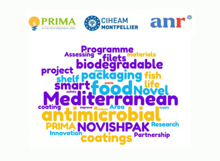 NOVISHPAK : Terms of reference for a service provider in support for the project implementation – Date prolongée