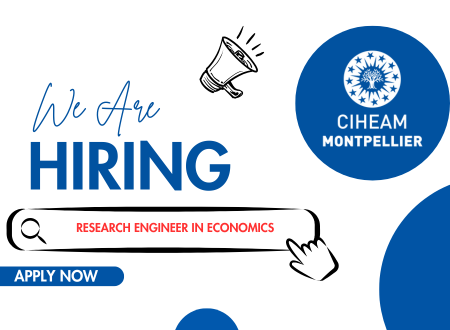 VACANCY ANNOUNCEMENT BUTTERFLY : Research Engineer in Economics
