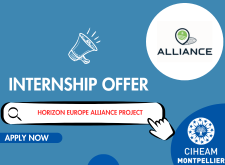 INTERNSHIP OFFER: Horizon Europe ALLIANCE project