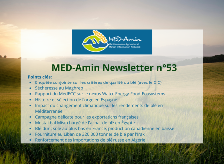 MED-Amin Newsletter n°53