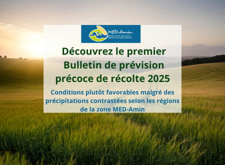 MED-Amin : Découvrez le premier Bulletin de prévision précoce de récolte 2025
