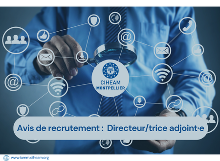 AVIS DE RECRUTEMENT : Directeur/trice adjoint·e