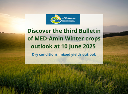 MED-Amin : Discover the third 2025 Winter crops outlook at 10 June 2025