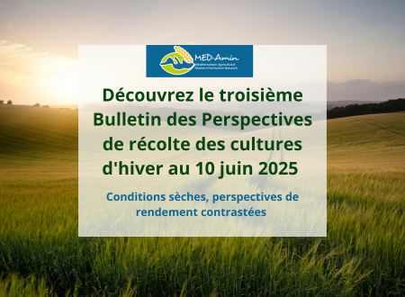 MED-Amin : Découvrez le troisième Bulletin des Perspectives de récolte des cultures d’hiver au 10 juin 2025