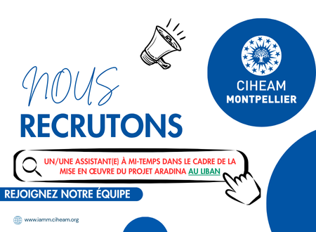AVIS DE RECRUTEMENT : Un/une assistant(e) à mi-temps dans le cadre de la mise en œuvre du projet ARADINA au Liban