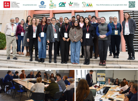 Projet AACC-Med : ATELIERS PARTICIPATIFS SUR LES FREINS ET LEVIERS A L’ADAPTATION