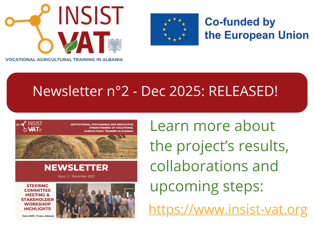 INSIST-VAT Project Newsletter n°2 Released!